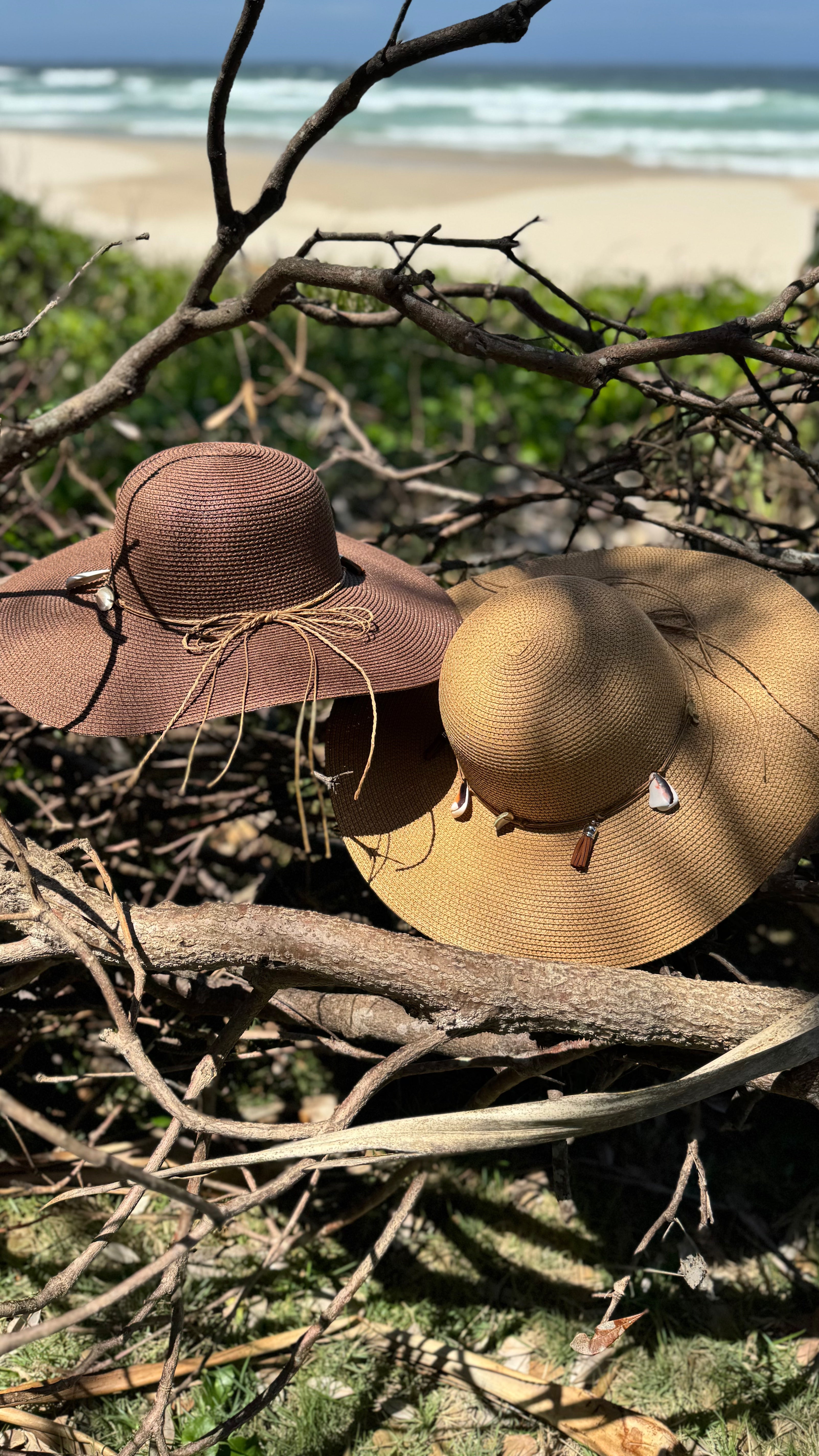 Sea Shell Hat NEW Seashell Hat Chocolate – White Amber Label