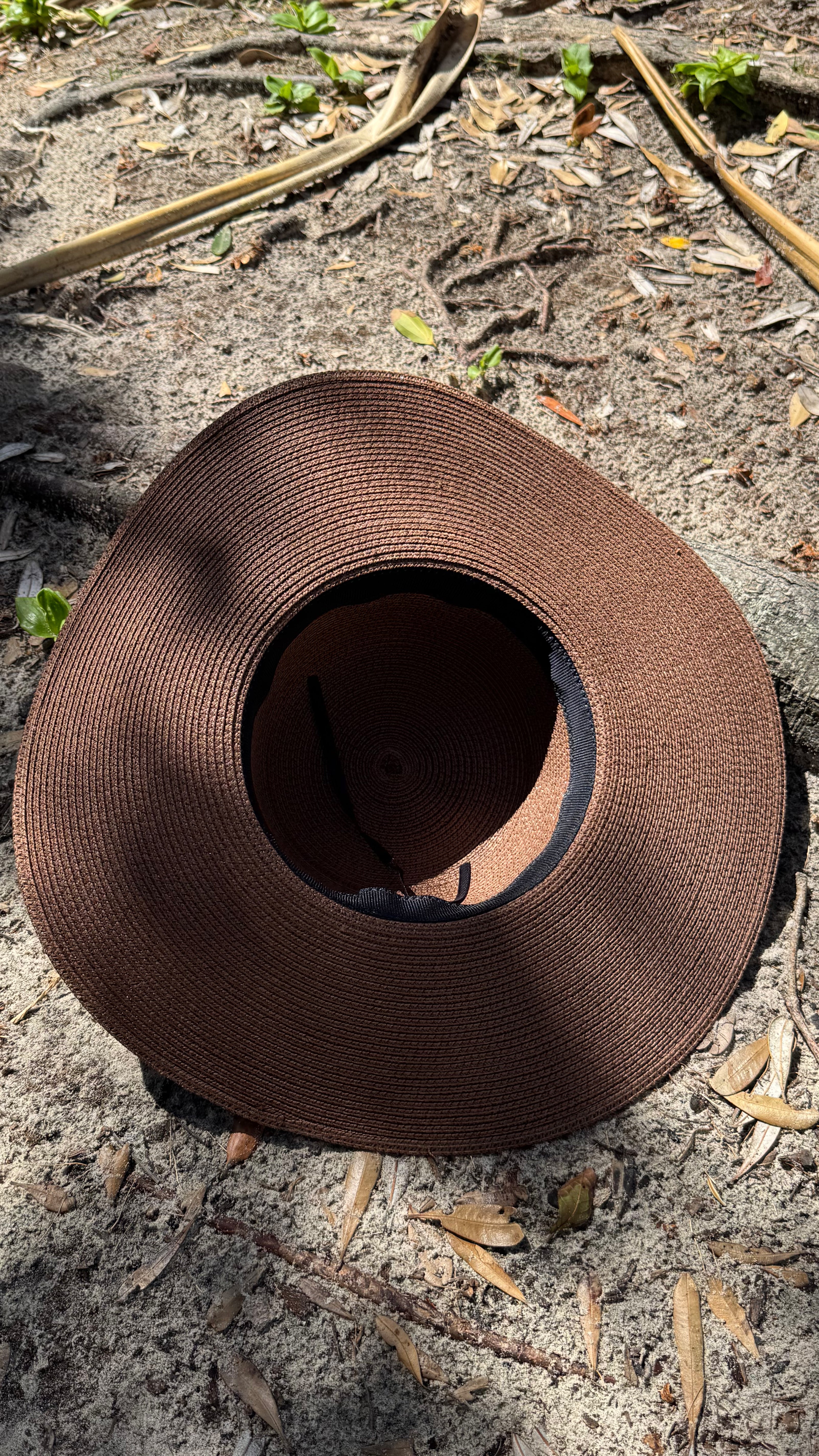 NEW Seashell Hat Chocolate